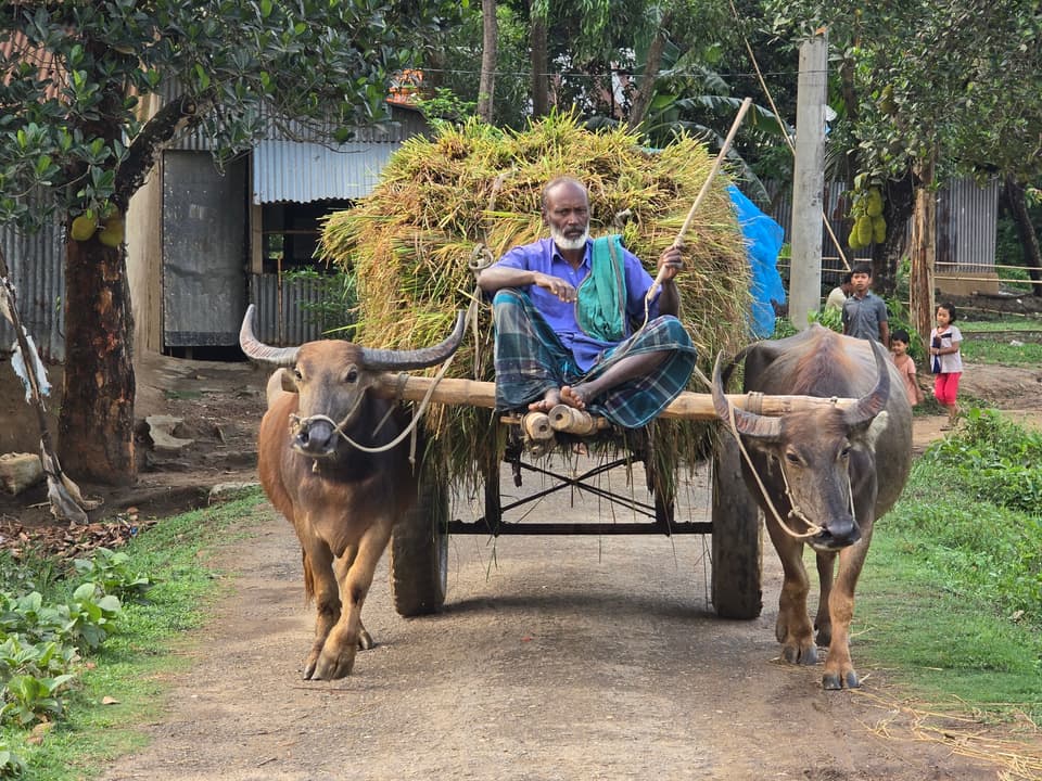 রিতার গ্রামের বাড়ি - প্রিয় মুহূর্ত