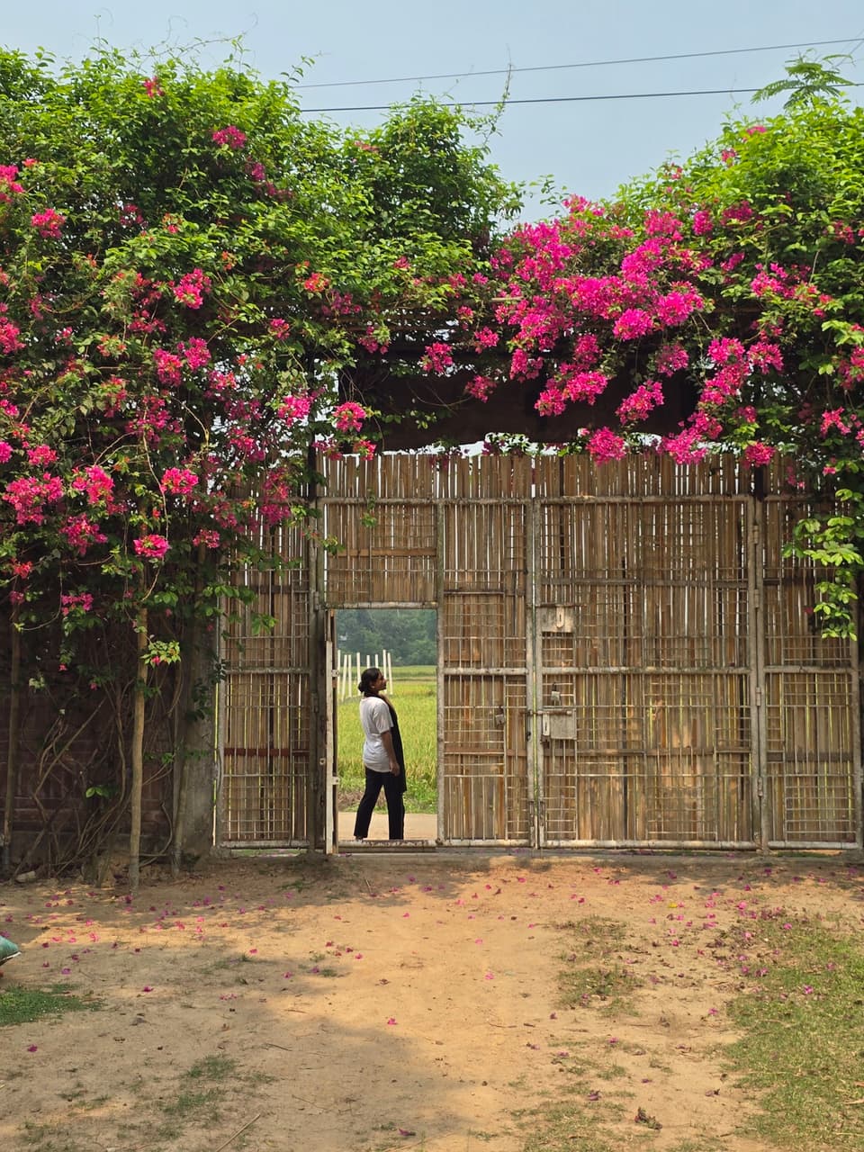 রিতার গ্রামের বাড়ি - প্রবেশদ্বার