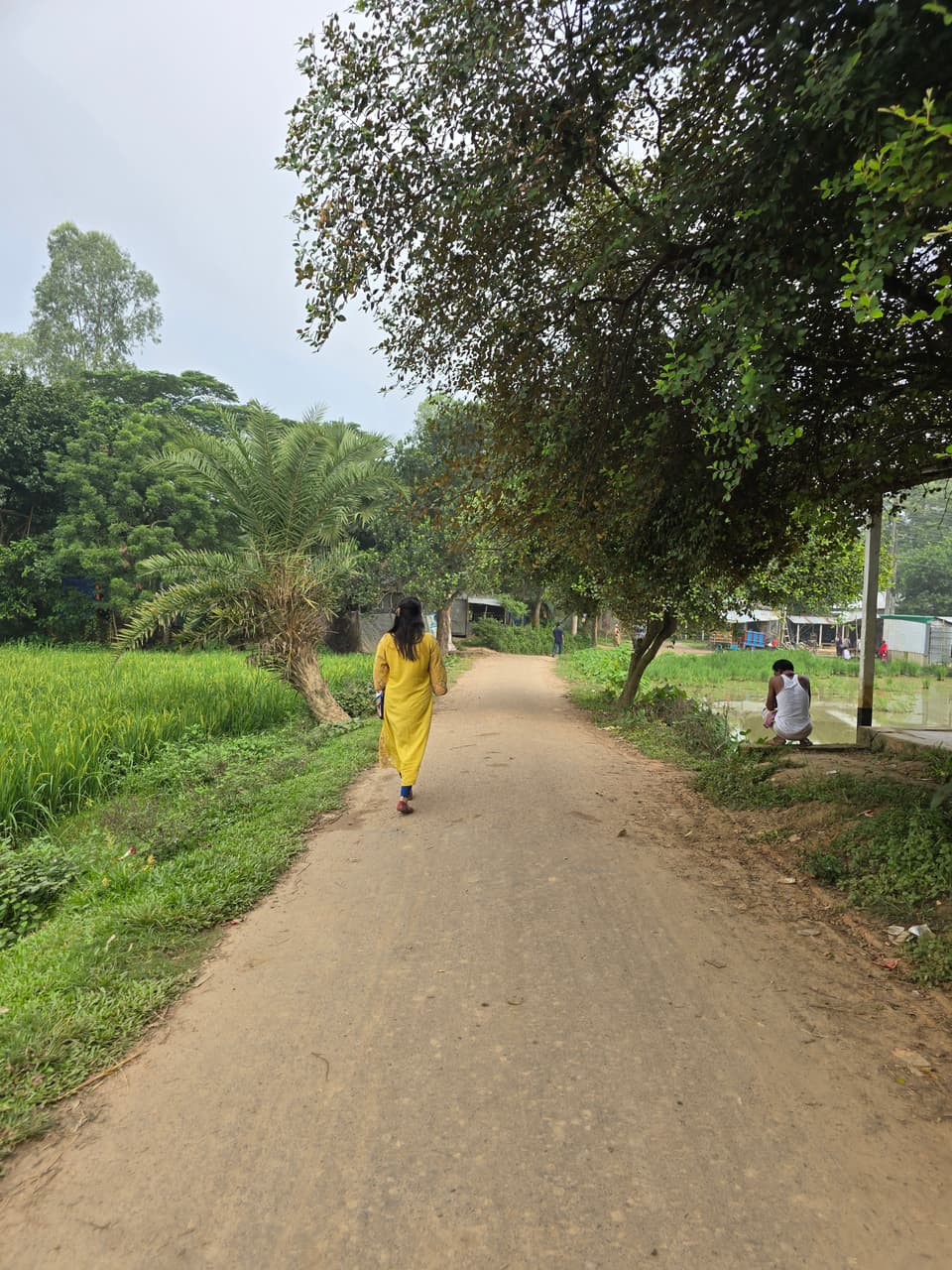 গাছের নিচে গ্রামের রাস্তা